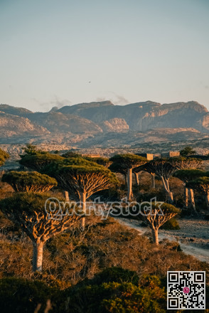Soothing and undisturbed scenery showcasing faroff mountain summits bathed in gentle evening light