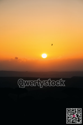 Gentle evening with flying bird. Peaceful twilight over expansive horizon featuring lone bird figure