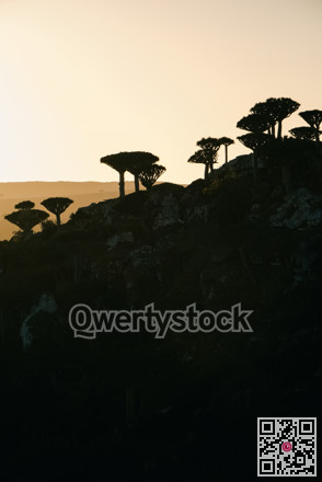 Vast shrubland valley with distant mountains and layered ridges offering scenic panorama and ecological depth
