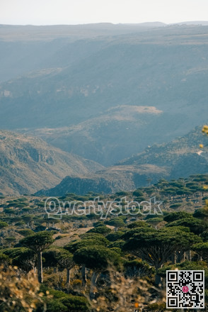 Wide valley plateau with low canopy and rugged ridges showcasing biodiversity and remote travel appeal