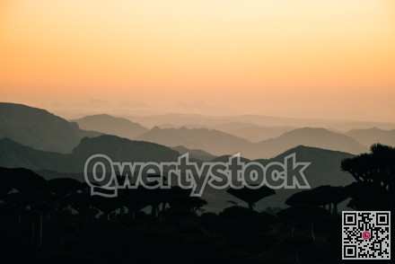 Mountain ranges merge into dusk fog while foreground botanical shapes create calm atmosphere for backgrounds