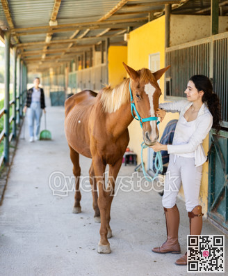Armenian female worker takes horse out of stall, holds animal by bridle and leads pet for walk