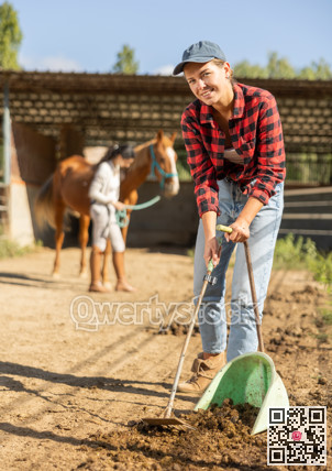Smiling girl worker scoops horse droppings into shovel and cleans up cattle