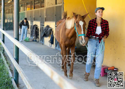 Young woman leads horse out of stable