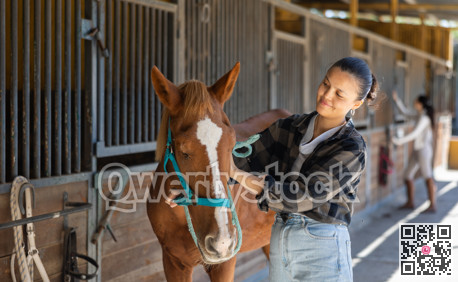 Young woman leading horse out of stable