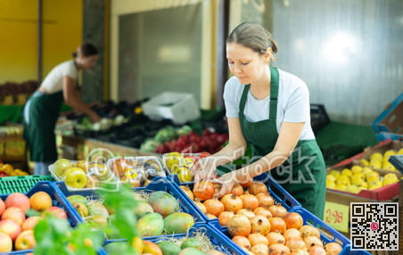 Interested saleswoman lying out pomegranates on counter at farmers market
