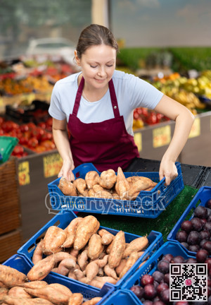 Smiling saleswoman lying out boxes of sweet potatoes in farmers market