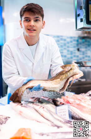 Seller of fish department of a supermarket demonstrates fresh atlantic cod fish