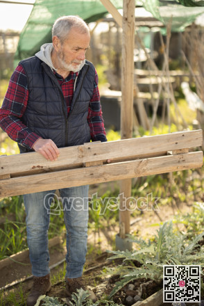 Elderly man building fence in garden