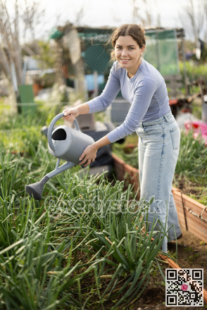 Female farmer waters green onions from watering can in her garden