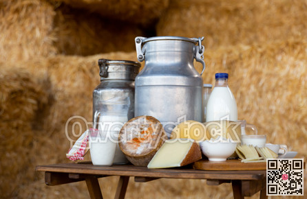 Composition of milk churns and wheels of cheeses on table