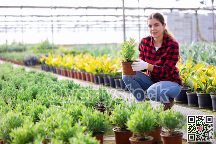 Woman gardener holding seedlings in pot