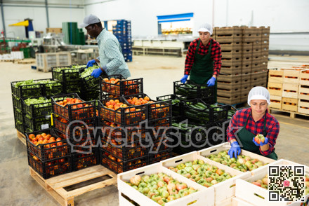 Man and women working in vegetable warehouse