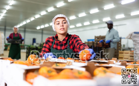 Young woman checking quality of tomatoes in warehouse