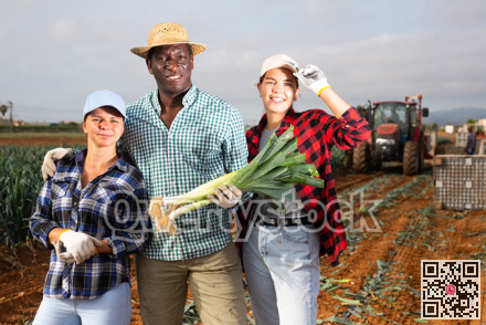 Friendly women and man gardeners with harvested ripe leek