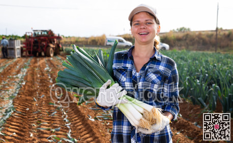 Woman posing with leek crop on field