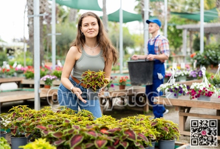Cheerful girl choosing colorful potted Coleus blumei at garden market