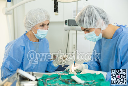 Senior woman doctor of veterinary medicine is focused performs surgery on animal.