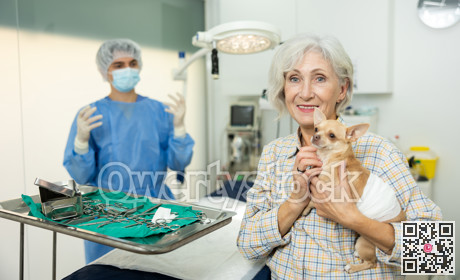 Smiling woman holding with bandaged belly after successful surgery
