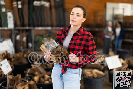 Young woman choosing firewood in store