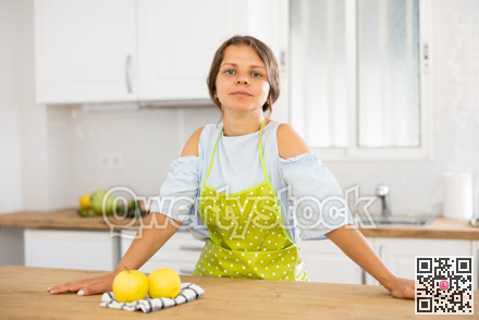 Young attractive landlady posing in modern kitchen