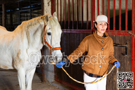 Woman horse holder leading white horse in stabling