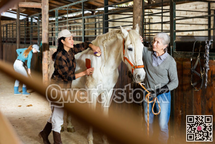 Women brushing white horse in barn