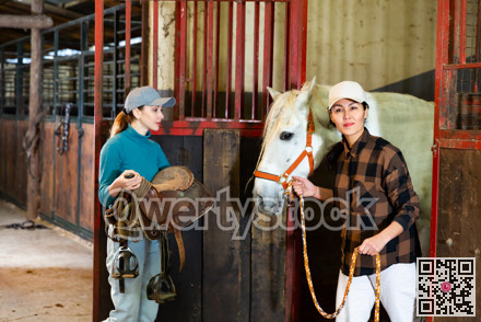 Women horsebreeders equipping horse