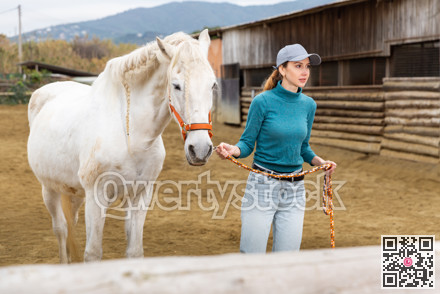 Horse breeder leading white horse through paddock