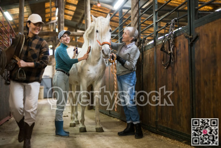 Women horsebreeders grooming white horse in stable