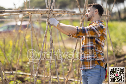 Young man making bamboo plant supports on farm plantation
