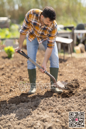 Young man with shovel working on farm field