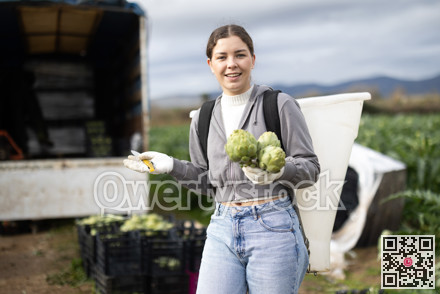 Girl worker standing in field after completing tasks, harvesting artichoke