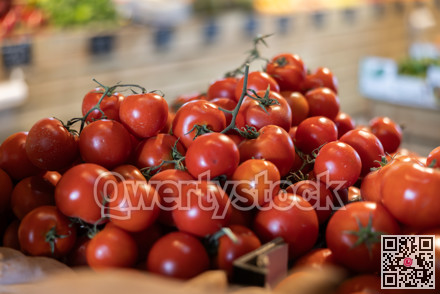 Stock of red tomato in shop window