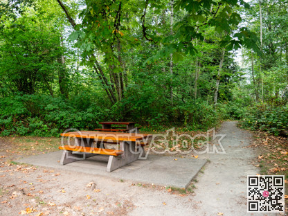 Recreation area under the trees with gravel pathway leading to a park