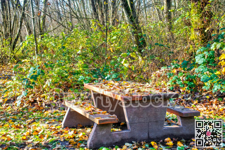 Fall season in a park. Dry foliage fallen on picnic table in a park