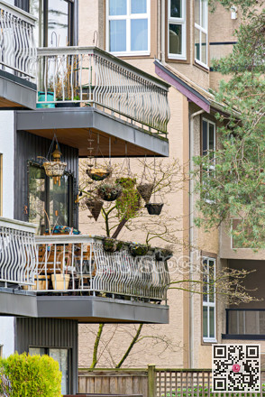 Dried suspended home patio garden on winter season in Vancouver