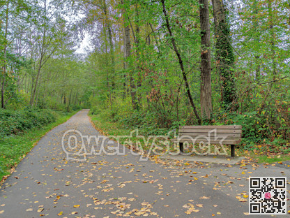 Earlier autumn in the park. Paved pathway with wooden bench on side