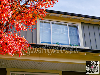 Top of residential house with red leaves tree on side