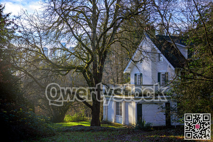 Historic residential house on foggy winter day in Vancouver