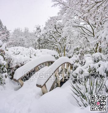 Wooden brook bridge in a park under snow fall on winter season