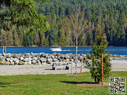 Recreational area at the waterfron on Pacivic Ocean bay in British Columbia