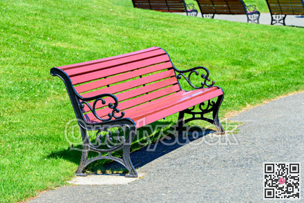 Nice looking bench on green lawn background in a recreation park