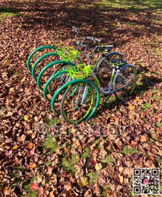 Green bycicles in recreational park on autumn season.