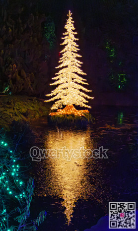 Big pinetree decorated with lights for Christmas celebration