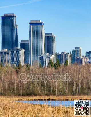 View Lougheed city center from Deer lake neighbourhood.