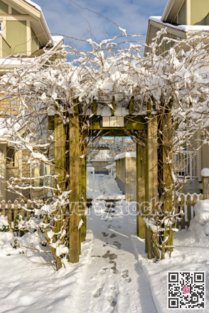 Wooden gate in snow. Winter in residential area on sunny day