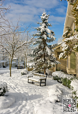 Bright winter day in residential area of Coquitlam, British Columbia, Canada