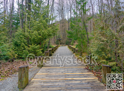 Wooden paved trail in a park on winter season in British Columbia, Canada
