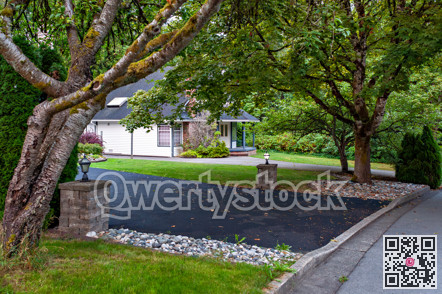 Front yard and asphalt driveway of residential houses